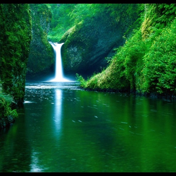 Meet your Posher, Monscel - Picture 1 of 1